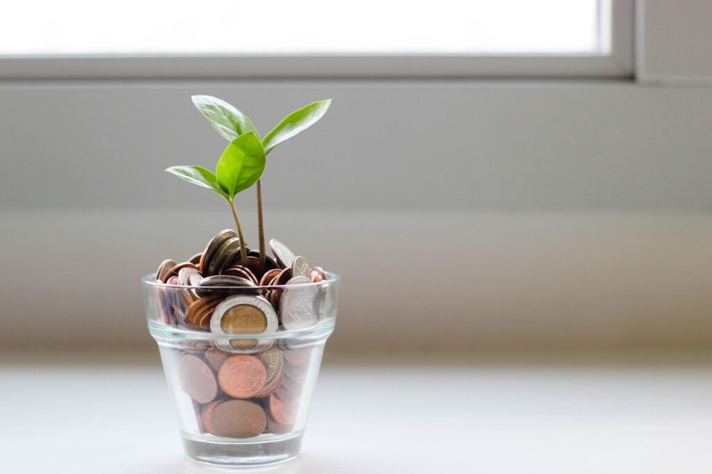 cup of coins and a sapling